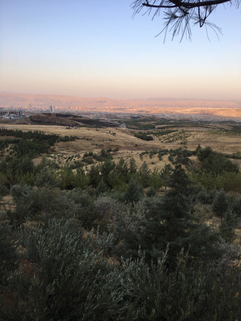 walking near me in Hawary Shar in winter