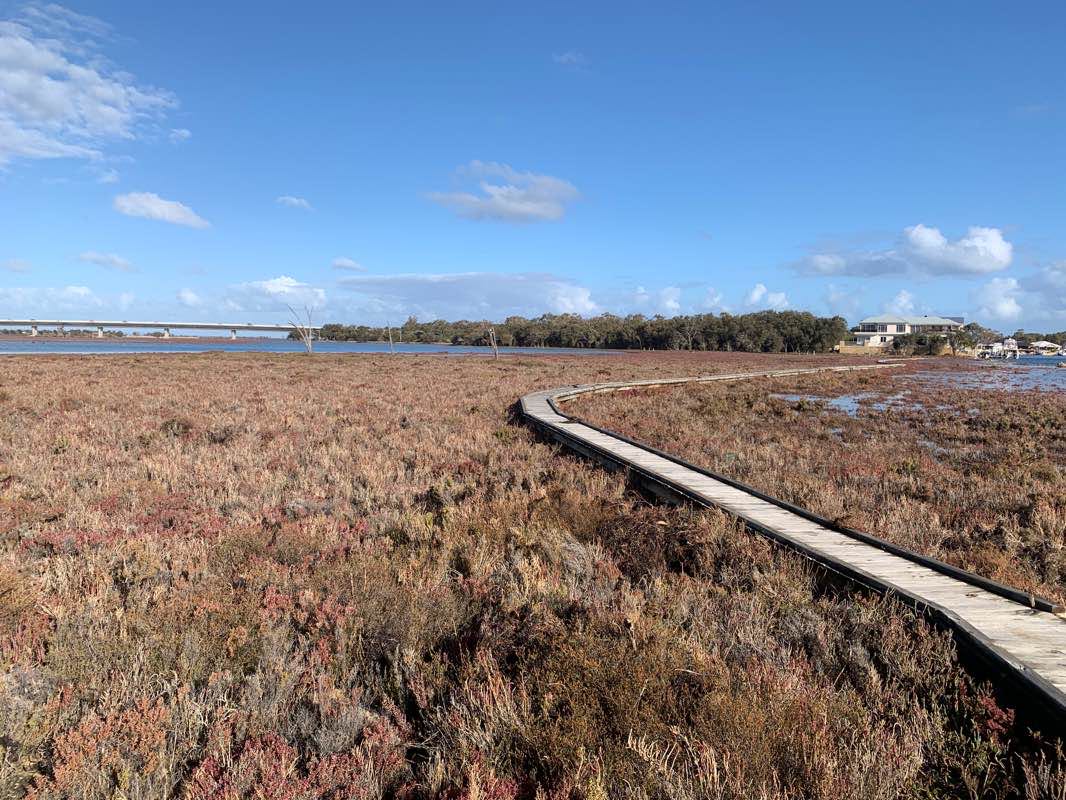 walking near me in Unnamed WA45089 Nature Reserve in summer