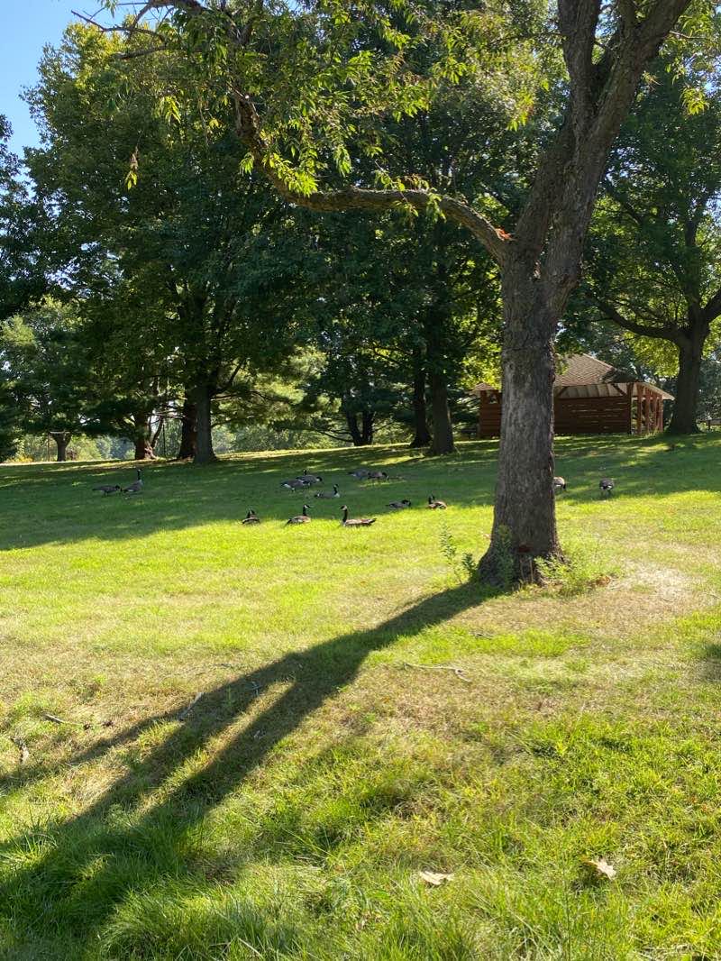 walking near me in Easter Lake Park in winter