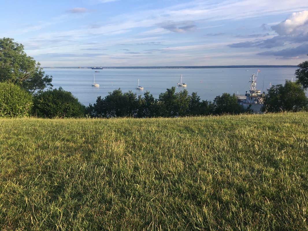 walking near me in Leigh Cliffs in winter