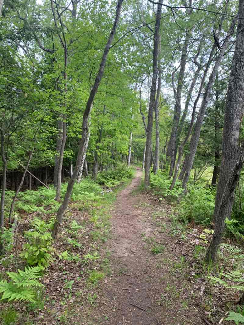 walking near me in Mt. McSauba Recreation Area in winter
