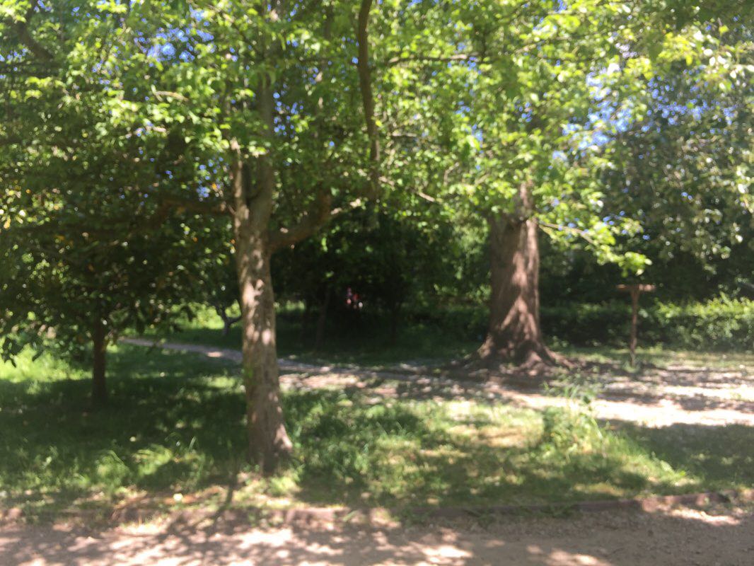 walking near me in Oakwell Country Park in winter