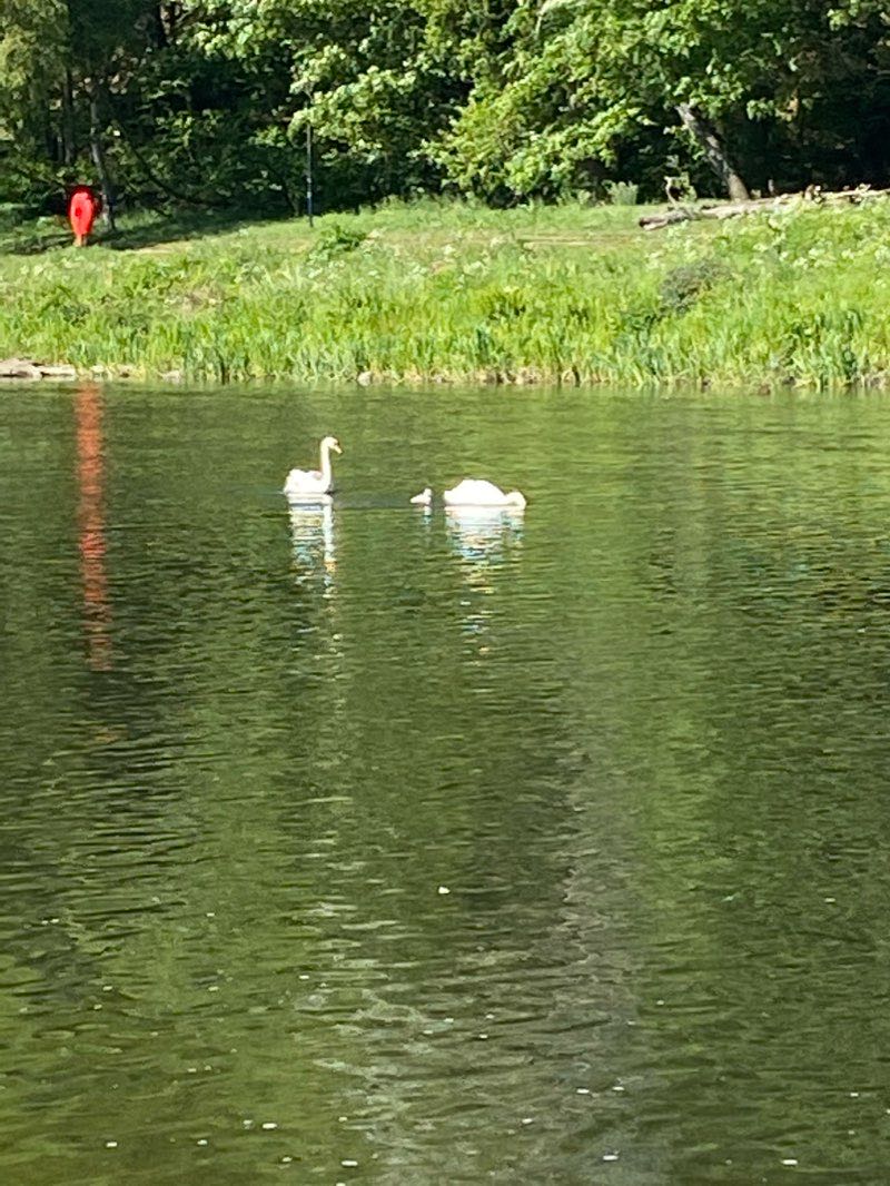 walking near me in Grandholm Garden in winter