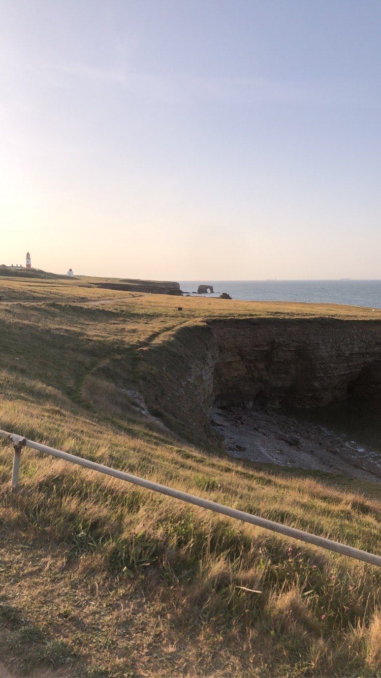 walking near me in Temple Memorial Park in winter