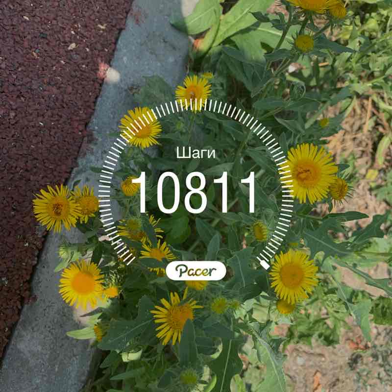 Евгений post 1