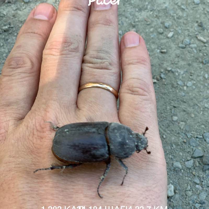 Евгений post 1