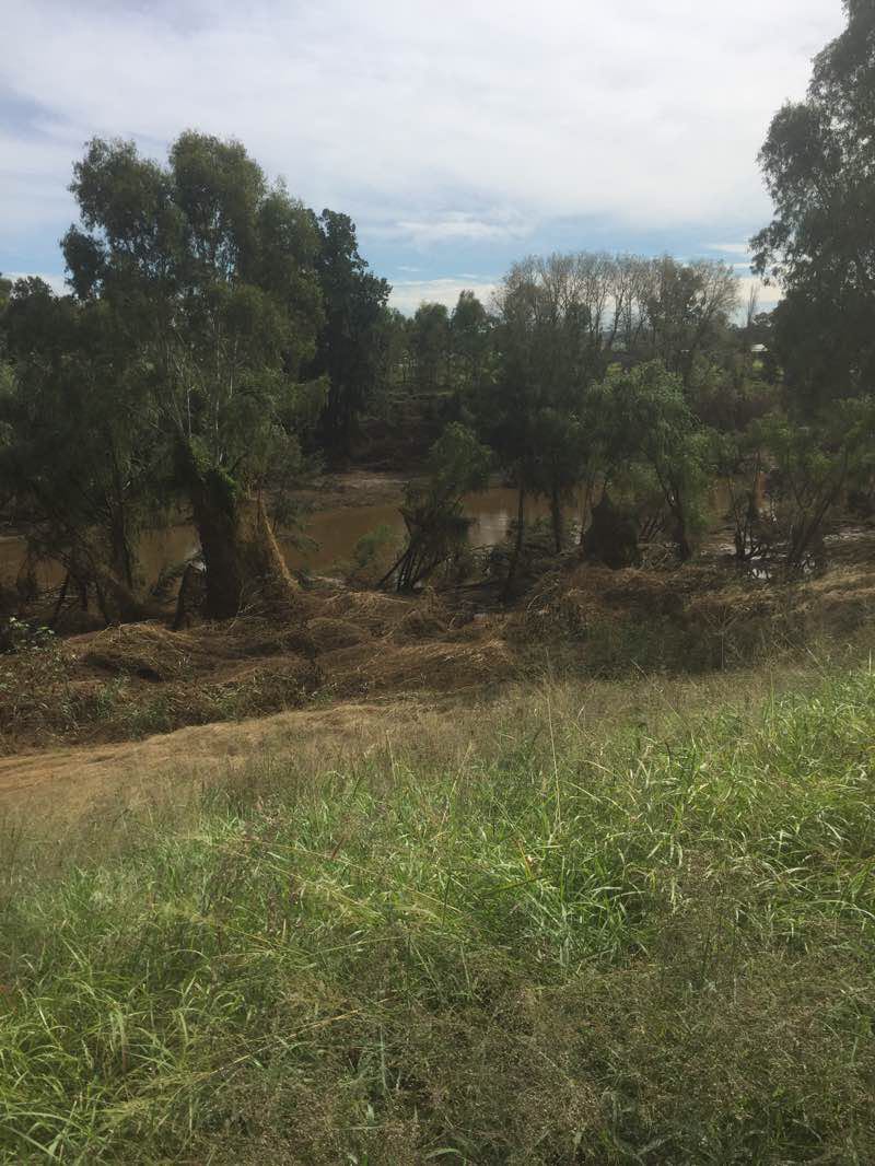 walking near me in Rose Point Park in summer