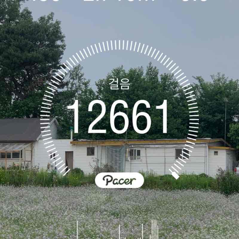 달려라탕아 post 1