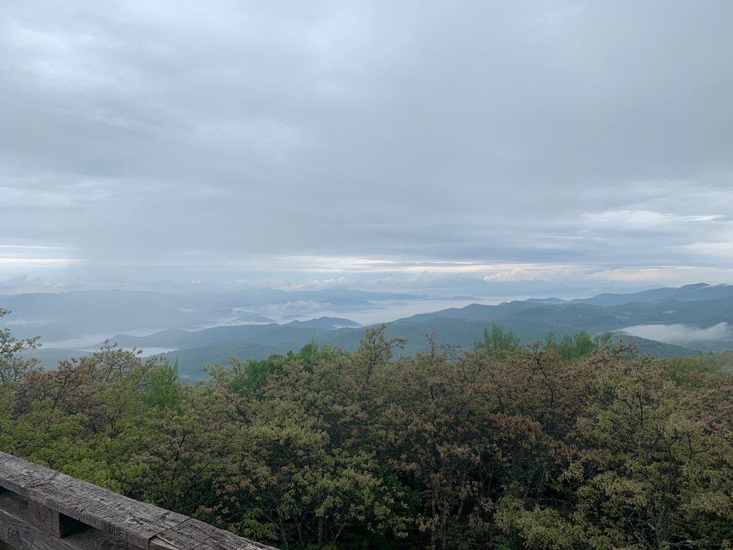 walking near me in Warwoman Wildlife Management Area in winter