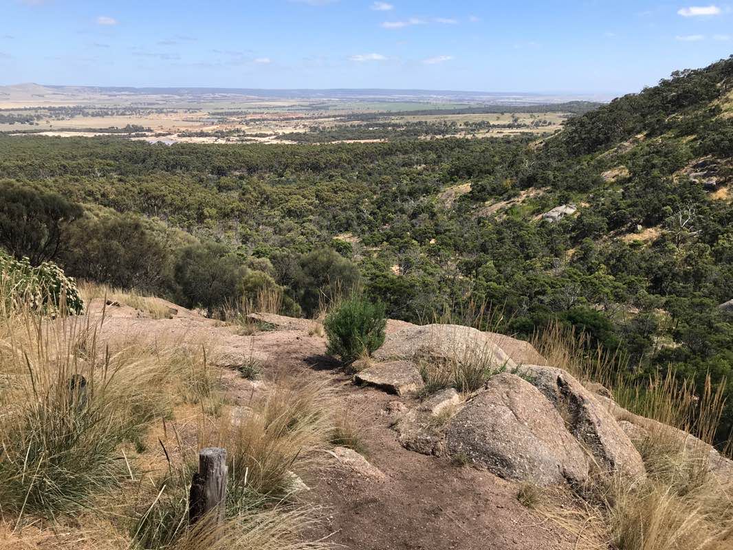 walking near me in You Yangs Regional Park in summer