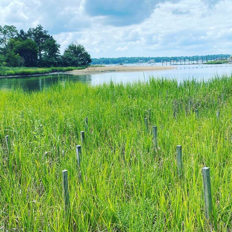 walking near me in Manorhaven Beach Park in winter