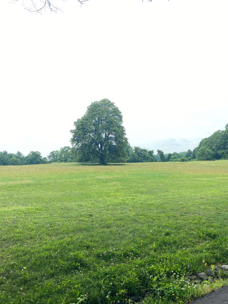 walking near me in Caumsett State Park in winter