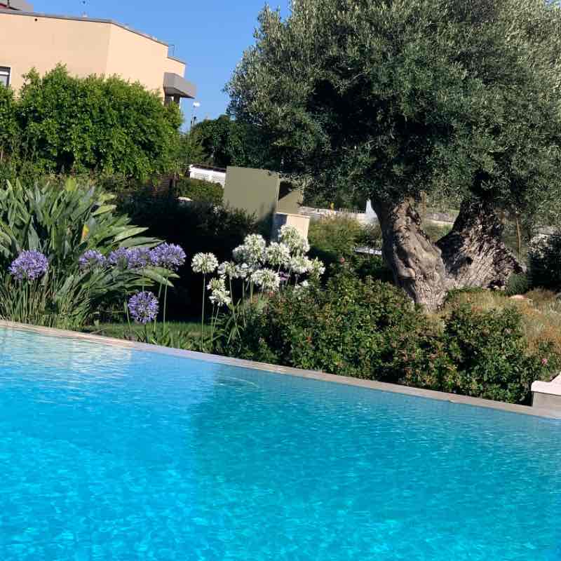 Mariagraziafit5824 post 1