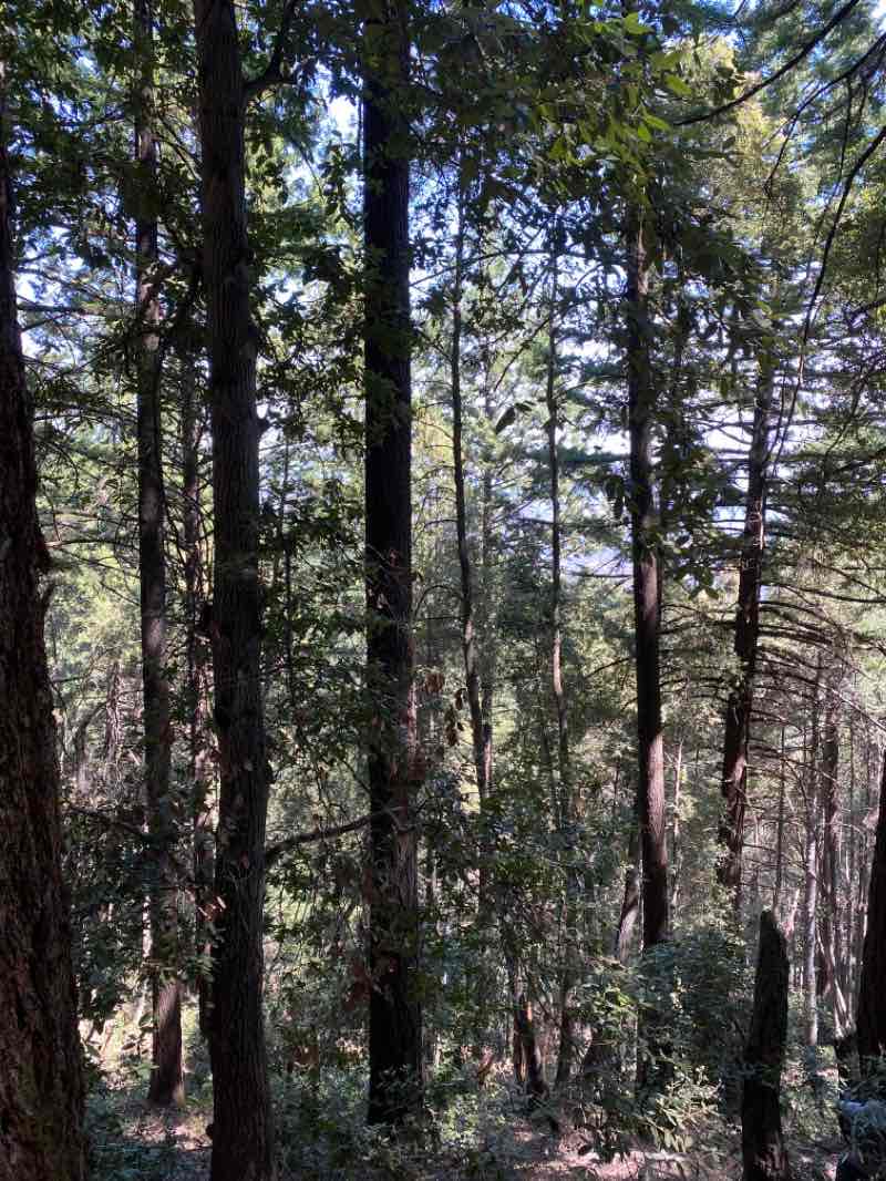 walking near me in Sanborn County Park in winter