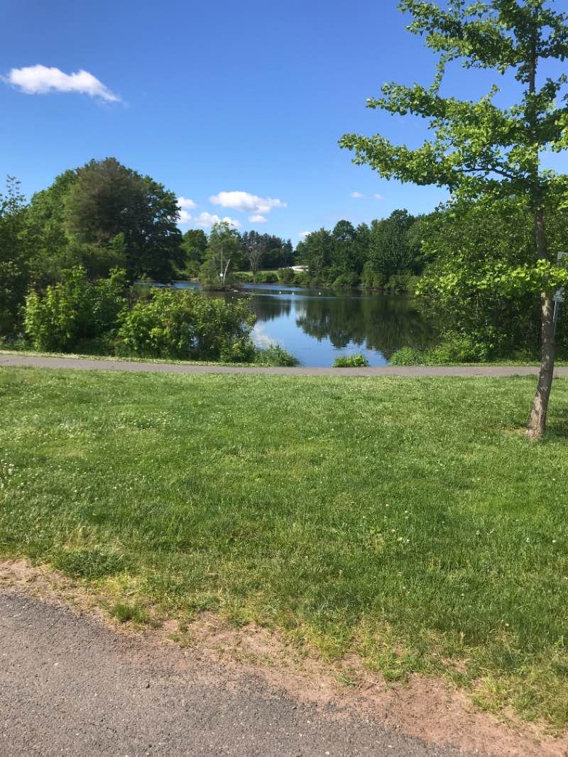 walking near me in Mill Pond Park in winter
