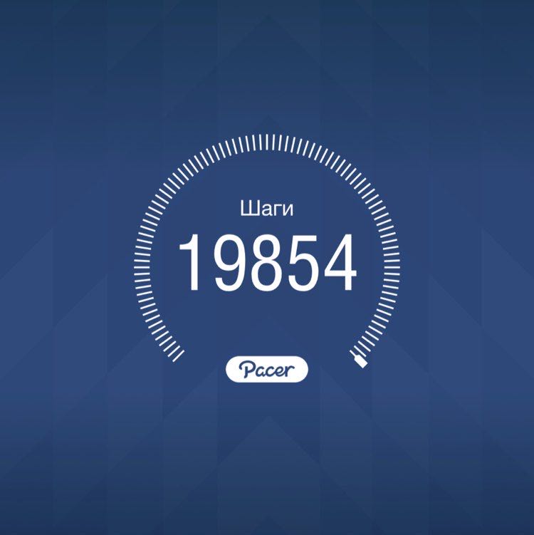 PacerТоварищ post 1