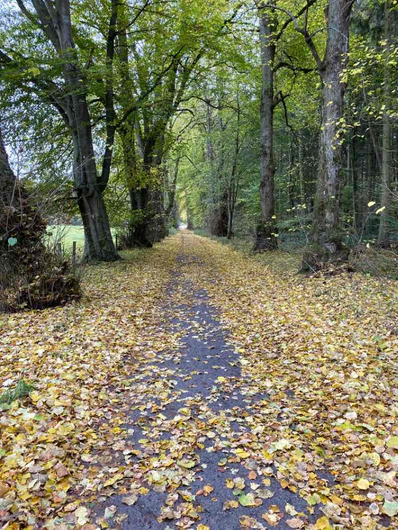 walking near me in Hay Lodge Park in winter