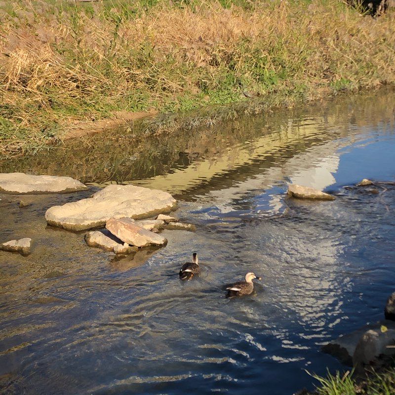 walking near me in 나비공원 in winter