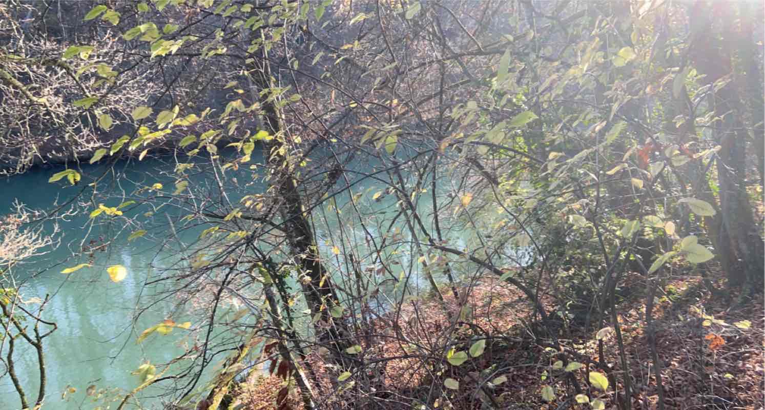 walking near me in Les Berges de Vessy in winter