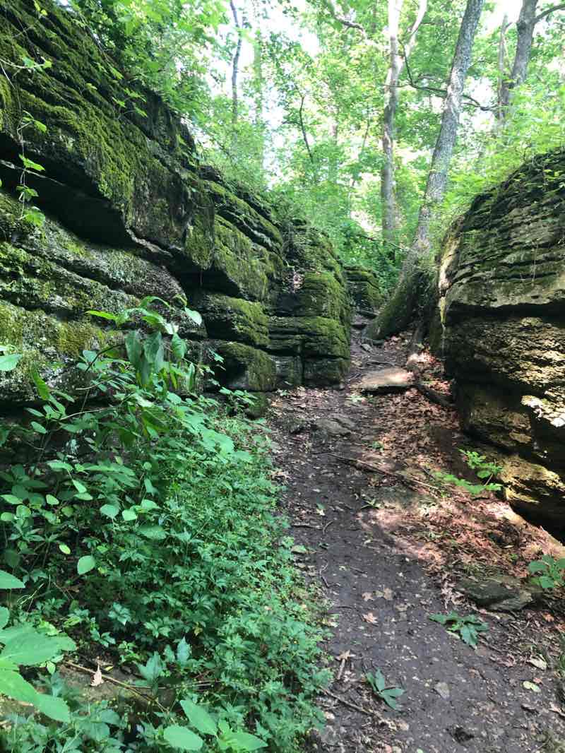 walking near me in Burr Oak Woods Conservation Area in winter