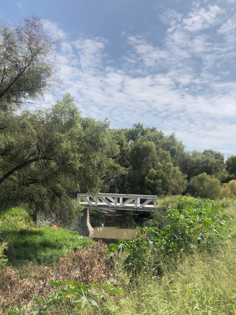 walking near me in Parque Queretaro 2000 in winter
