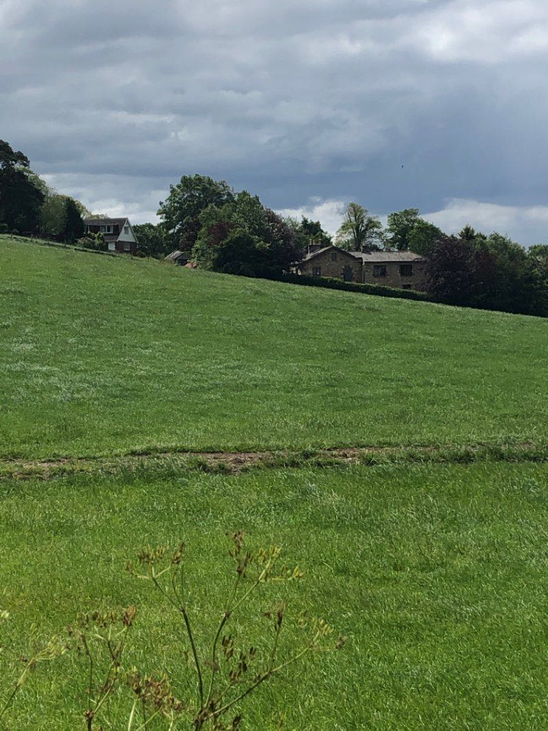 walking near me in Quay Meadow in winter