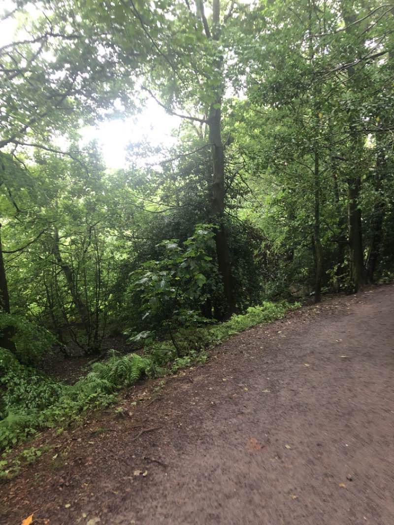walking near me in Williamson Park in winter