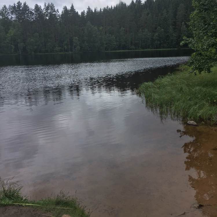 Евгений post 3