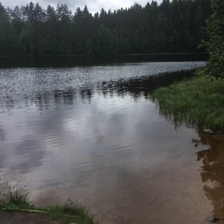 Евгений post 2