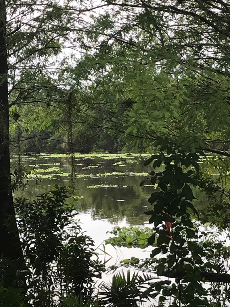 walking near me in Cliff Stephens Park in winter