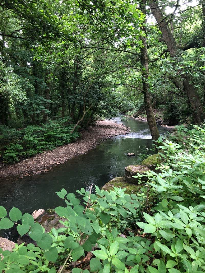 walking near me in Crow Valley Central Recreation Grounds in winter