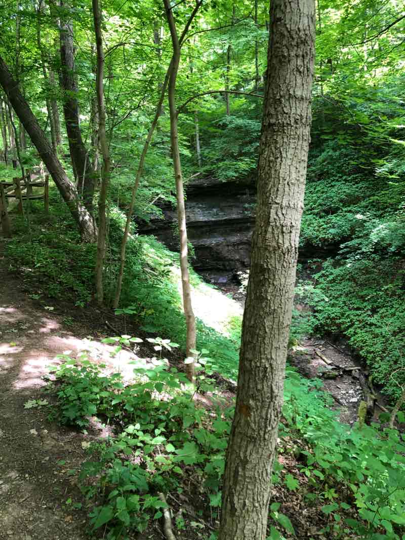 walking near me in Braddock's Trail Park in winter