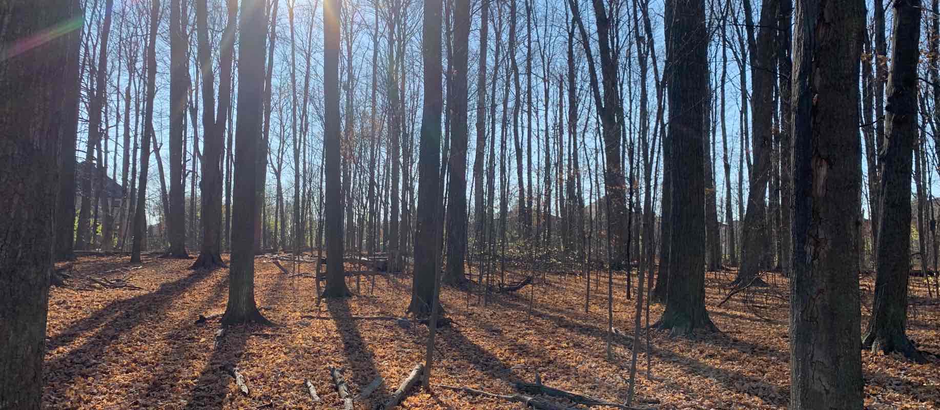 walking near me in Austin Drive Park in winter