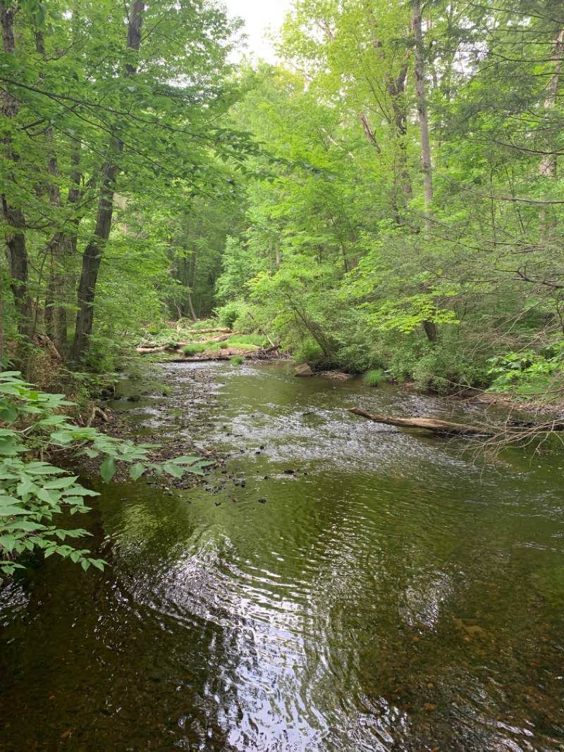 walking near me in Mill River Recreation Area in winter