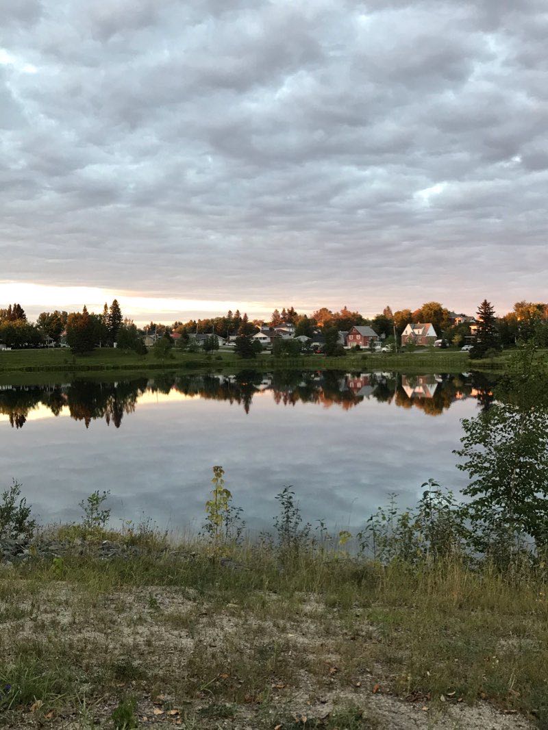 walking near me in Queen Elizabeth Park in winter