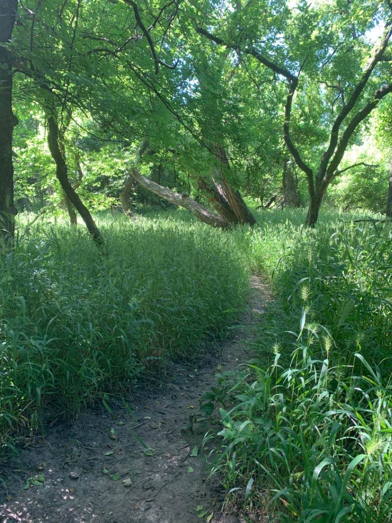 walking near me in Pawnee Prairie Park in winter