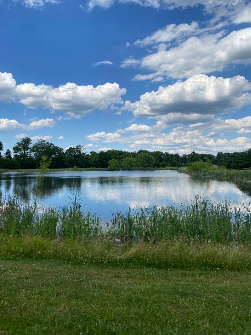 walking near me in Great Blue Heron Park in winter