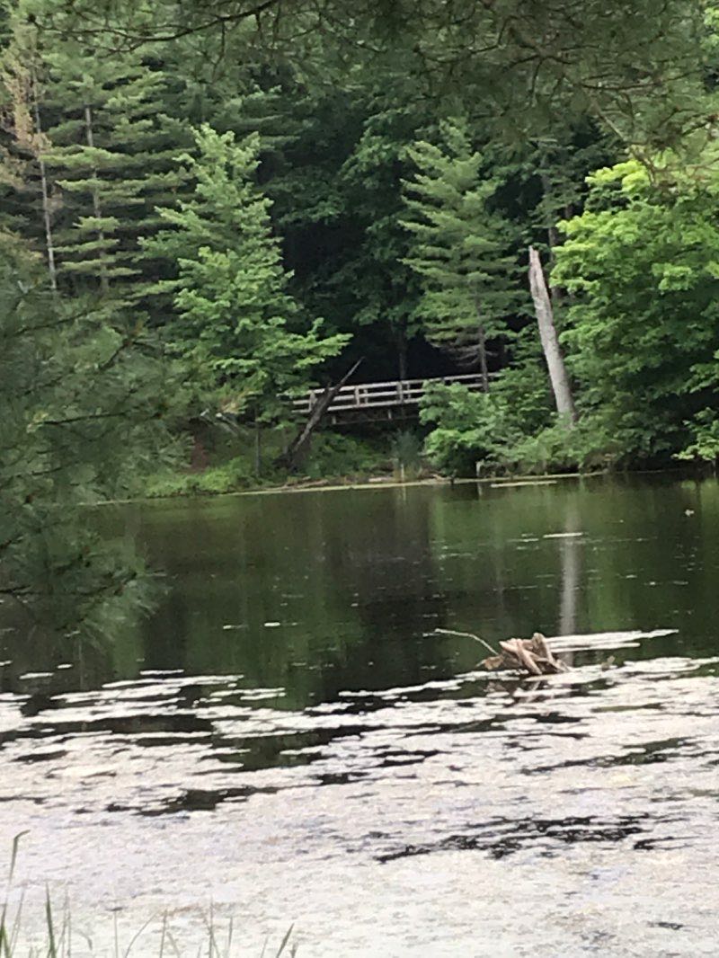 walking near me in Glen Hills County Park in winter