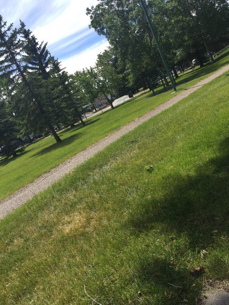 walking near me in Kinsmen Park in winter