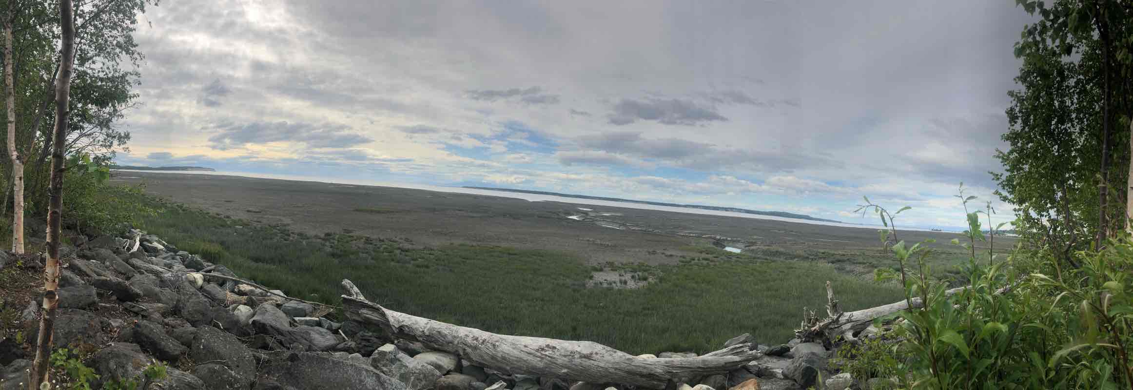 walking near me in Resolution Park in winter