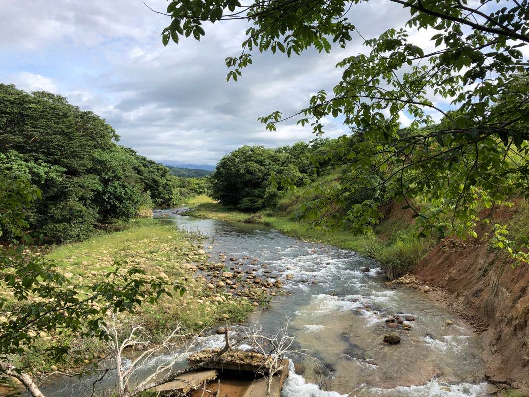 walking near me in Septima y Octava in winter