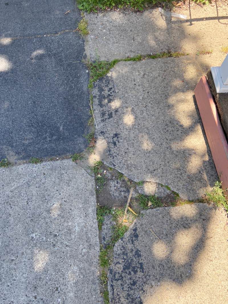 walking near me in Powers Memorial Park in winter