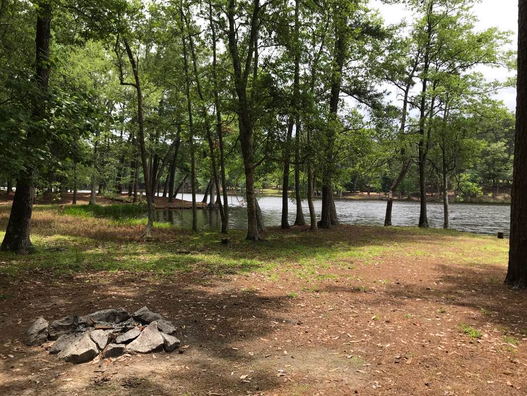 walking near me in Clarkco State Park in winter
