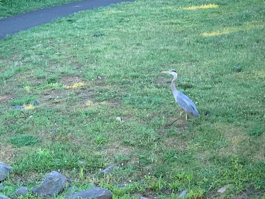 walking near me in Clareybrook Park in winter