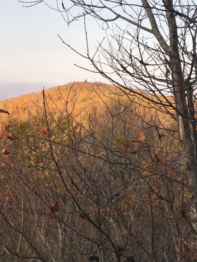 walking near me in C.D. Lane Park in winter