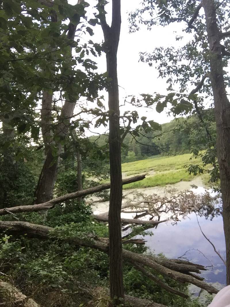 walking near me in Elk Neck State Park in winter