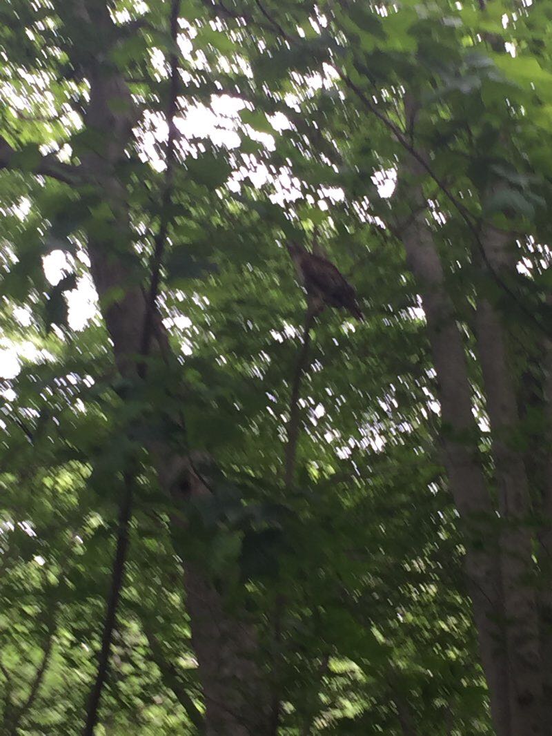 walking near me in Edgeley Grove Park in winter