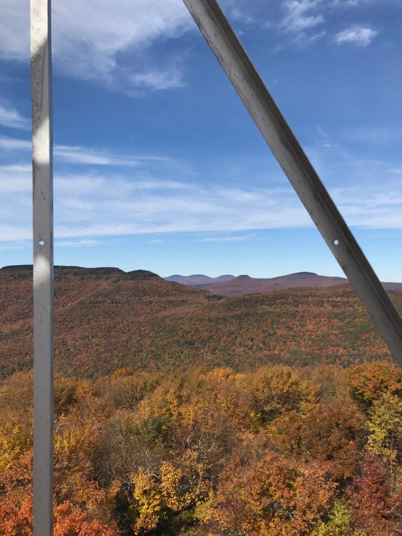 walking near me in Overlook Mountain Wild Forest in winter