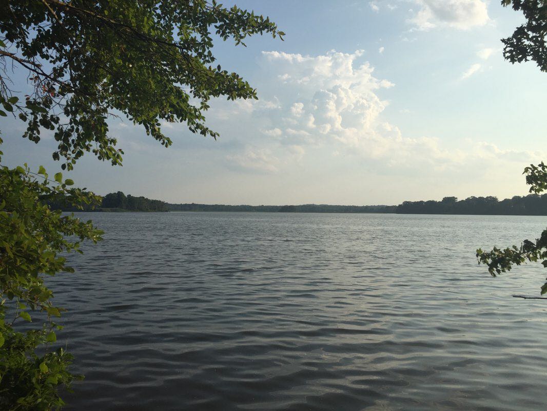 walking near me in Leight Park in winter