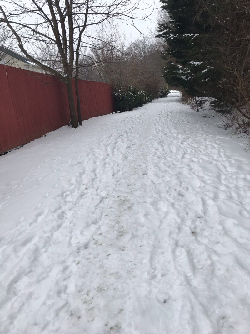 walking near me in Blake's Venture Park in winter